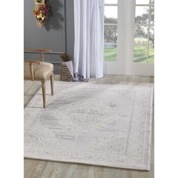 Tapis orient style 200x280cm KHY FALAN Gris en Polypropylène 2