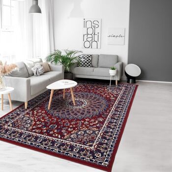 Tapis orient style 190x280cm AF ROSOR Rouge en Polypropylène 2