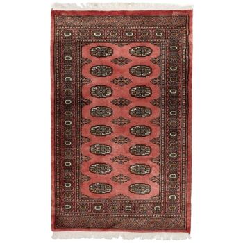 Tapis d'orient BOUKHARA 34 1A2T Fabrication artisanal en Laine 2