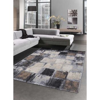 Tapis salon 120x170cm ELEGANT 04 Gris en Polypropylène 2