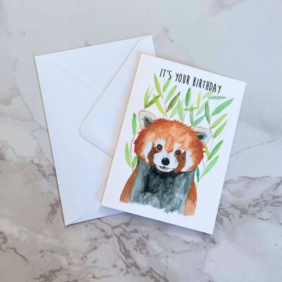 Red Panda Birthday Card