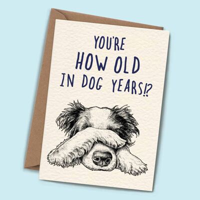 Carte d'années de chien - carte d'anniversaire