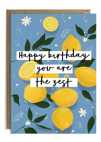 Vous êtes la carte d'anniversaire drôle Zest | Carte d'anniversaire de jeu de mots 1