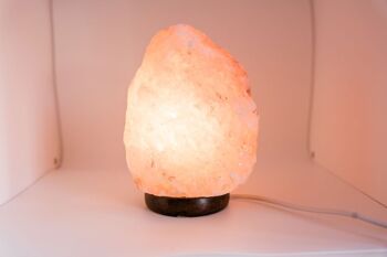 welovebloom Himalayan Salt Lamp 2kg 1