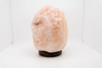 welovebloom Himalayan Salt Lamp 2kg 2