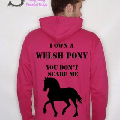 You don't scare me Welsh Pony... Slogan Hoodie