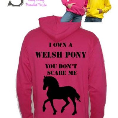 Kids I own a welsh pony Hoodie
