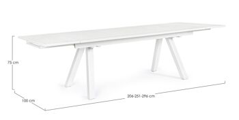 Table extensible ELIAS 206 / 296x100 cm 3