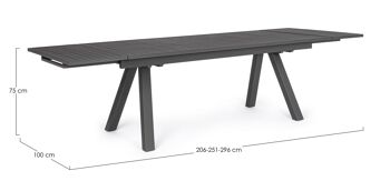 Table extensible ELIAS 206 / 296x100 cm 8