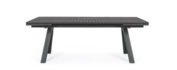 Table extensible ELIAS 206 / 296x100 cm 9