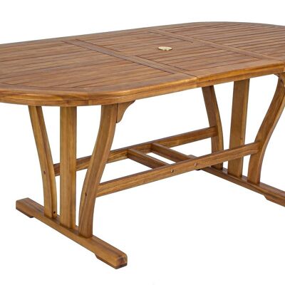 Table extensible ovale NOEMI 150/200x90 cm