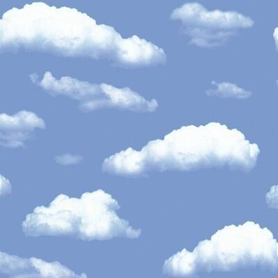 Cartulina fotográfica con motivo "Nubes", 49,5 x 68 cm