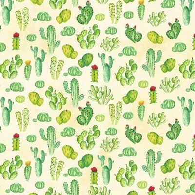 Carton photo motif "cactus", 49,5 x 68 cm