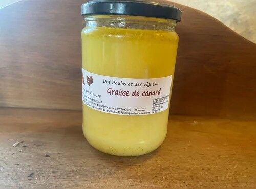 Graisse de canard