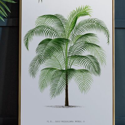 Vintage Palm Tree Print | Vintage Wall Art - A4 Print