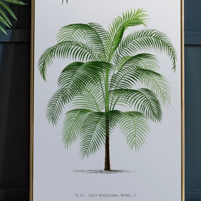 Vintage Palm Tree Print | Vintage Wall Art - A5 Print