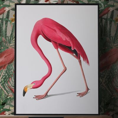 Minimal American Flamingo Vintage Print | Vintage Wall Art - A3 Print