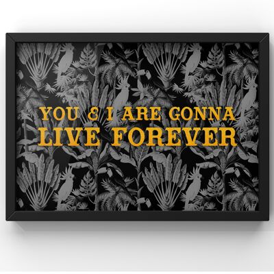 You & I are gonna live forever - Oasis Lyric Print - A1 Print