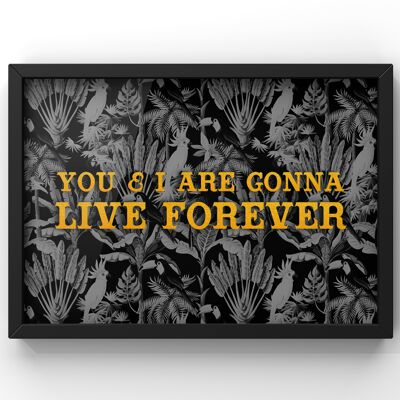 You & I are gonna live forever - Oasis Lyric Print - 50X70CM PRINT ONLY