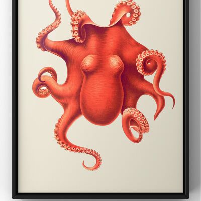 The Vintage kraken | antique octopus print - A3 Print Only