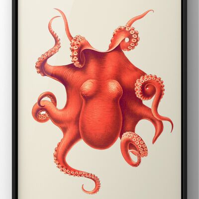 The Vintage kraken | antique octopus print - 30X40CM PRINT ONLY