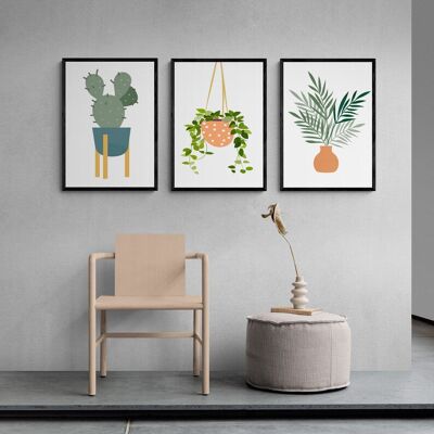 House of Plants Illustration Set of Three - A3 Print Only Set