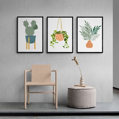 House of Plants Illustration Set of Three - A2 Print Only Set