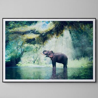 Wild Elephant - A3 Print Only