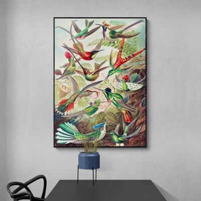 Vintage Colourful Birds - A2 Print