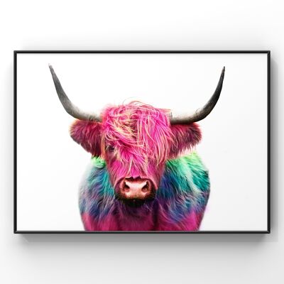 Highland Cow in colour Wall Art Print - A4 Print Only