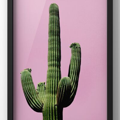 Cactus Pink Print | Wall Art Cactus - A4 Print