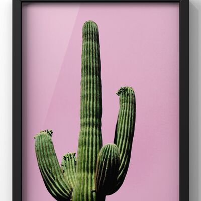 Cactus Pink Print | Wall Art Cactus - A1 Print