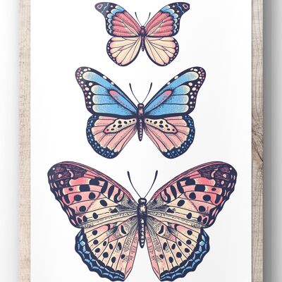 Trio Butterfly Illustration Wall Art Print - A2 Print