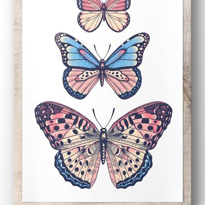 Trio Butterfly Illustration Wall Art Print - 30X40CM PRINT ONLY