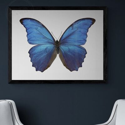 The Blue Butterfly - 30X40CM PRINT ONLY