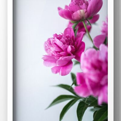 Floral Pink Wall Art Print - A4 Print