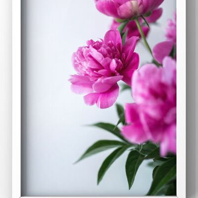 Floral Pink Wall Art Print - A2 Print
