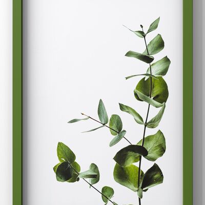 Eucalyptus Branch | Botanical Wall Art - 50X70CM PRINT ONLY