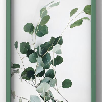 Eucalyptus Twig | Botanical Wall Art Print - A1 Print