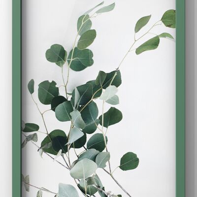 Eucalyptus Twig | Botanical Wall Art Print - 50X70CM PRINT ONLY