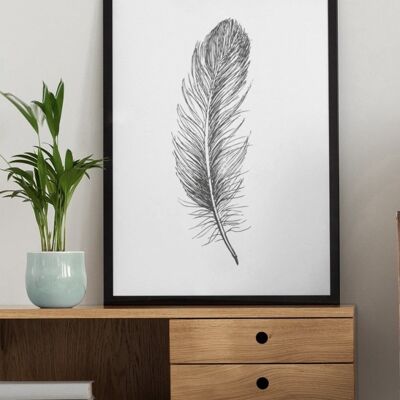 Mono Feather illustration - A4 Print Only