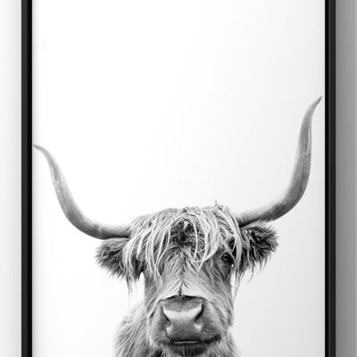 Minimal Highland Cow Wall Art Print - A4 Print Only
