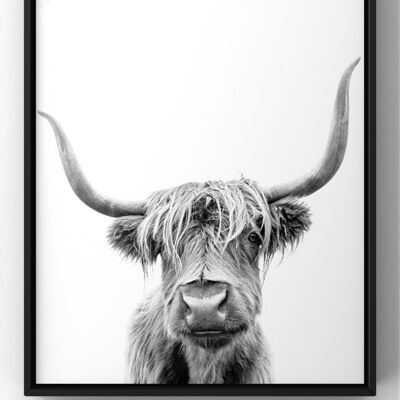 Minimal Highland Cow Wall Art Print - A1 Print Only