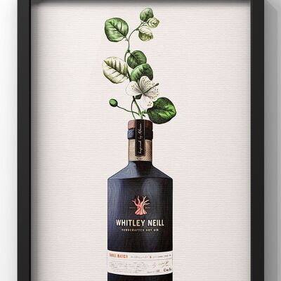 Whitley Neil Gin Bottle Botanical Print | Kitchen Gin Wall Art - 40X50CM PRINT ONLY