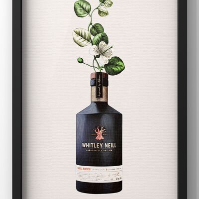 Whitley Neil Gin Bottle Botanical Print | Kitchen Gin Wall Art - 50X70CM PRINT ONLY