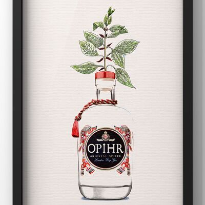 Ophir Gin Bottle Botanical Print | Kitchen Gin Wall Art - A4 Print Only