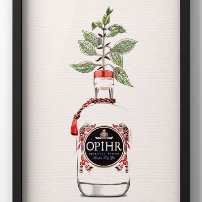 Ophir Gin Bottle Botanical Print | Kitchen Gin Wall Art - A3 Print Only