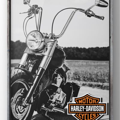 Harley Davidson Motorbike Print | Harley Motorcycle Photograph - A4 Print Only