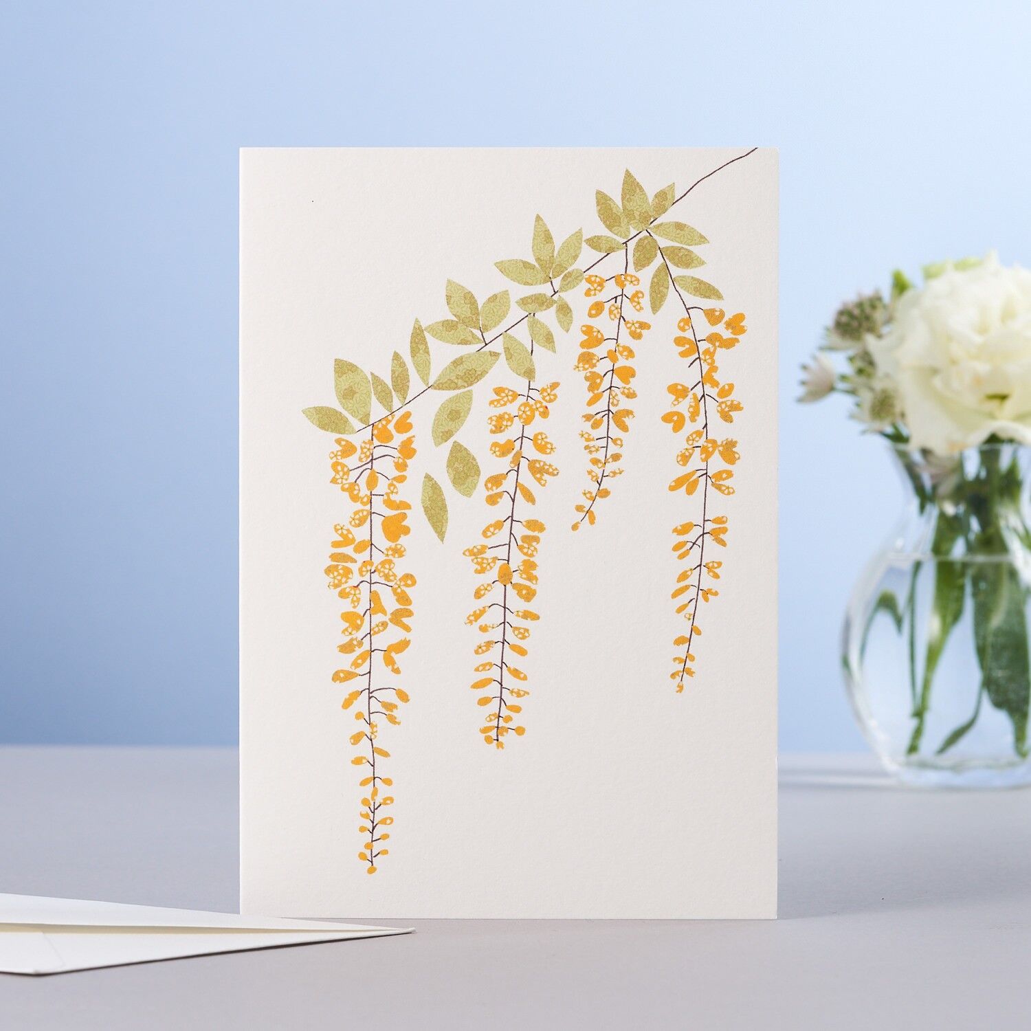 Carta Maggiociondolo