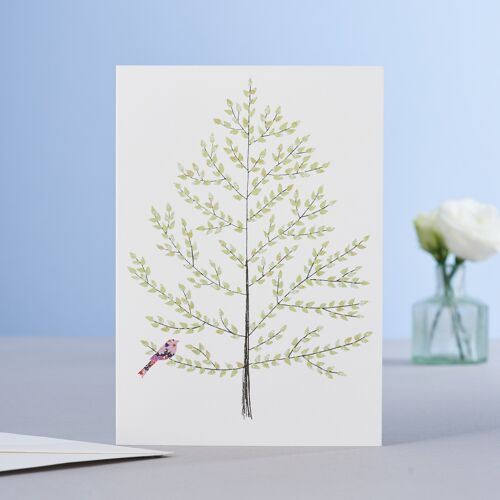 Beech Tree Card